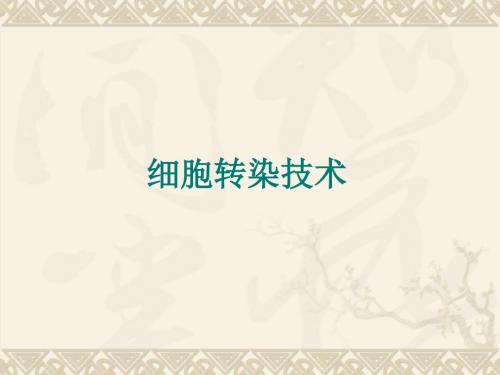 细胞转染技术-转染途径