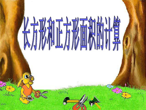 三年级数学下册PPT-长方形和正方形面积计算(19张)人教版-精品课件
