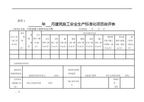 施工安全生产标准化项目自评表