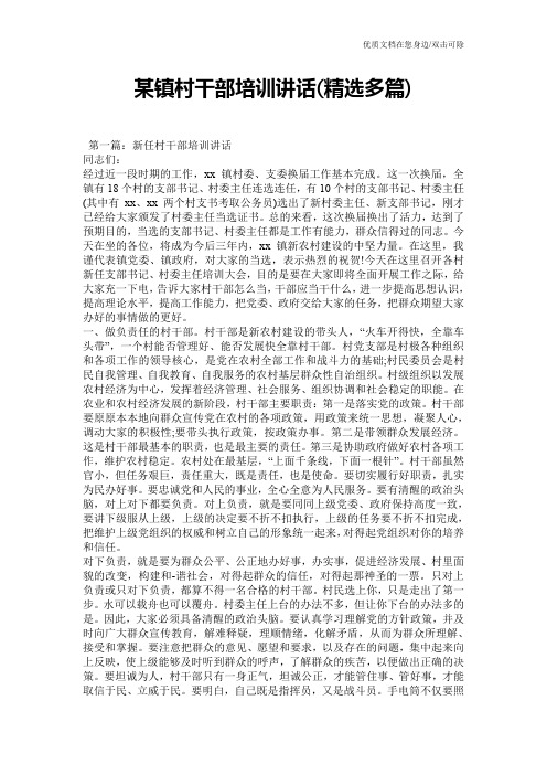 某镇村干部培训讲话(精选多篇)