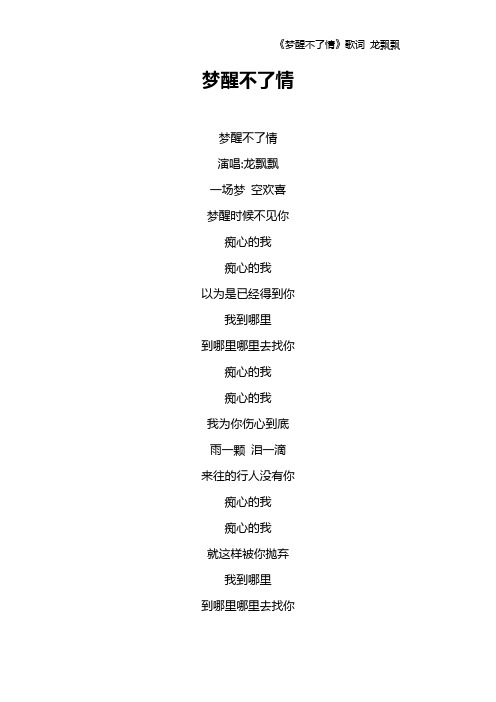 《梦醒不了情》歌词 龙飘飘