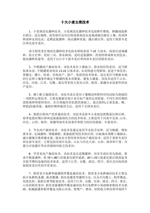 十大小麦主推技术