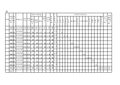 《三项计划》表(修改)