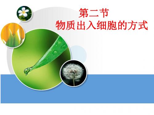高一生物物质出入细胞的方式