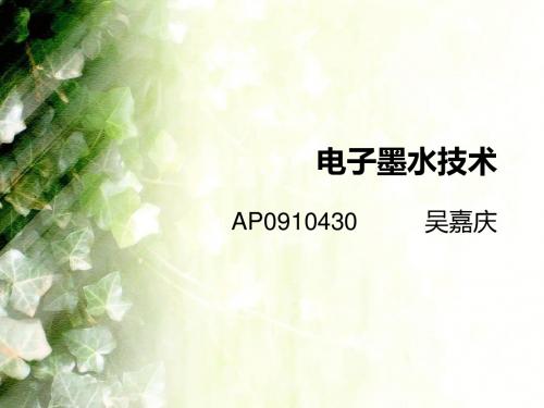 电子墨水技术