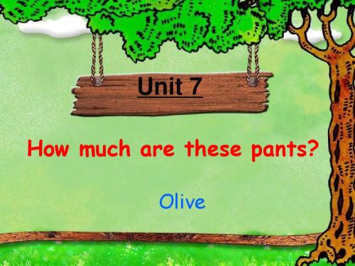 七年级英语howmucharethesepants课件1