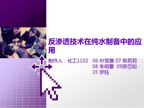 反渗透技术在纯水制备中的应用