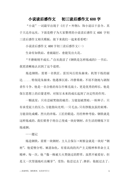 小说读后感作文   初三读后感作文600字