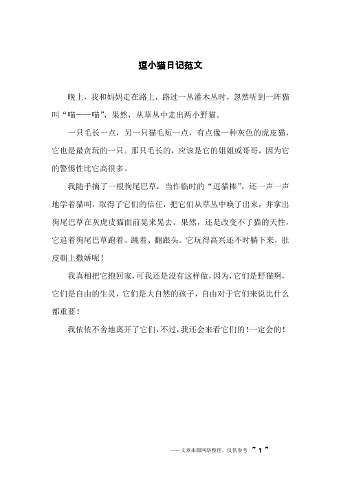 逗小猫日记范文