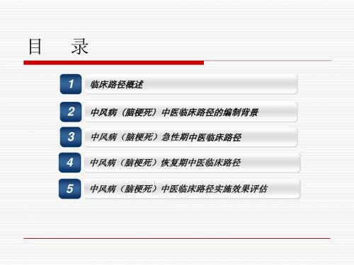 2012脑梗死中医临床路径培训-医学文档