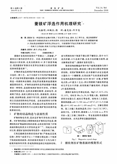 菱镁矿浮选作用机理研究