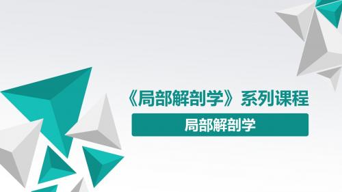 《局部解剖学》系列课程：局部解剖学