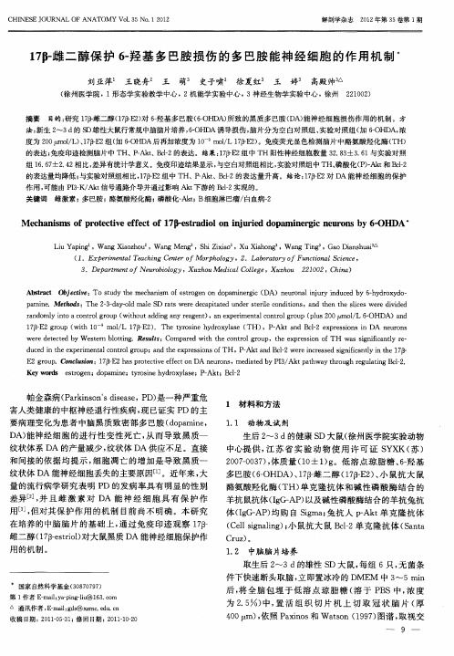 17β-雌二醇保护6-羟基多巴胺损伤的多巴胺能神经细胞的作用机制