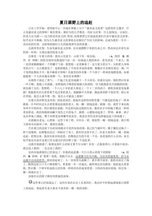 夏日原野上的追赶(2003北京海淀中考语文记叙文阅读)