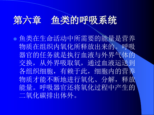 (形态学)鱼类学第六章