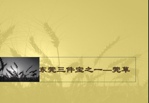 东莞文化之莞草