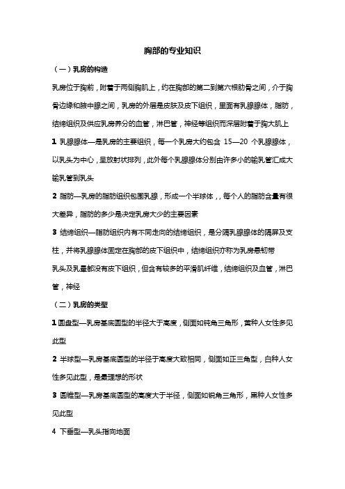 胸部的专业知识