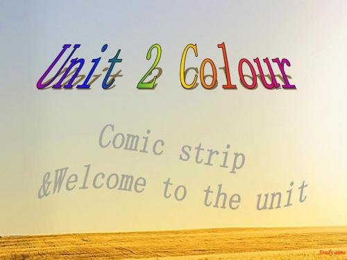 牛津译林版九年级上Unit2 Welcome课件(共21张PPT)