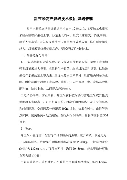 甜玉米高产栽培技术(栽培管理)