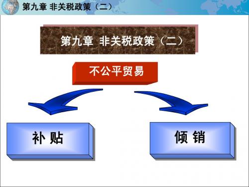 第九章 非关税政策(二)