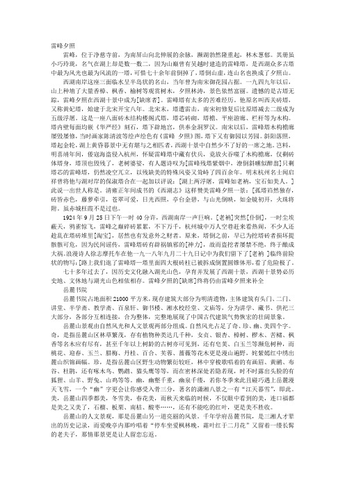 板栗说明文