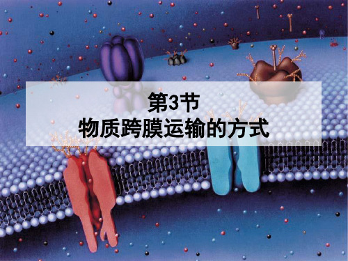 [人教版]《物质跨膜运输的方式》优质课件1