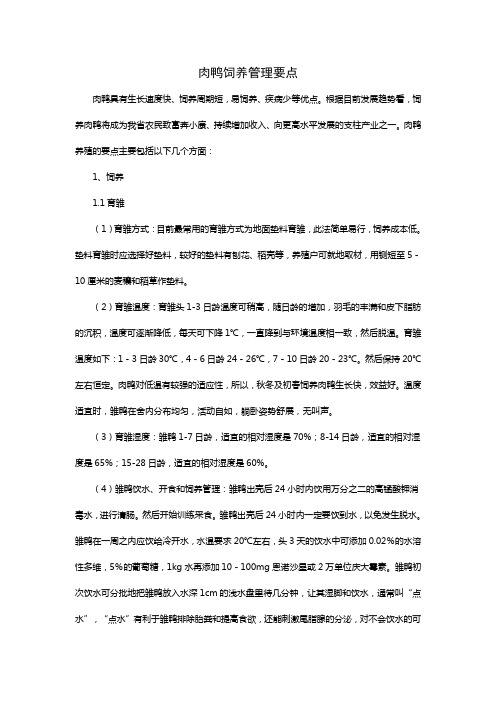 肉鸭饲养管理要点
