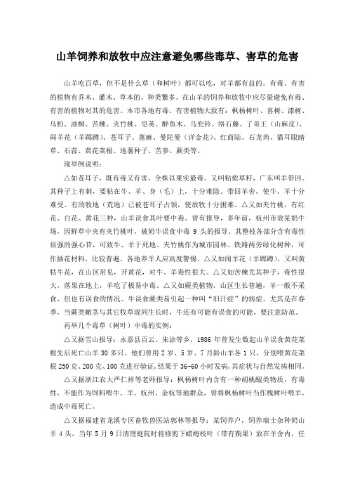 山羊饲养和放牧中应注意避免哪些毒草