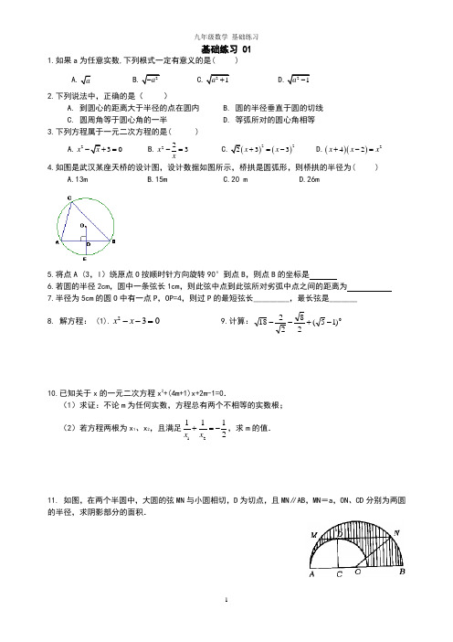 精品 九年级数学 中考专题 一日一练
