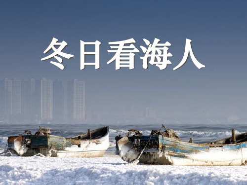 《冬日看海人》PPT课件2