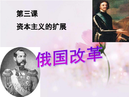 7-3-3 俄国改革