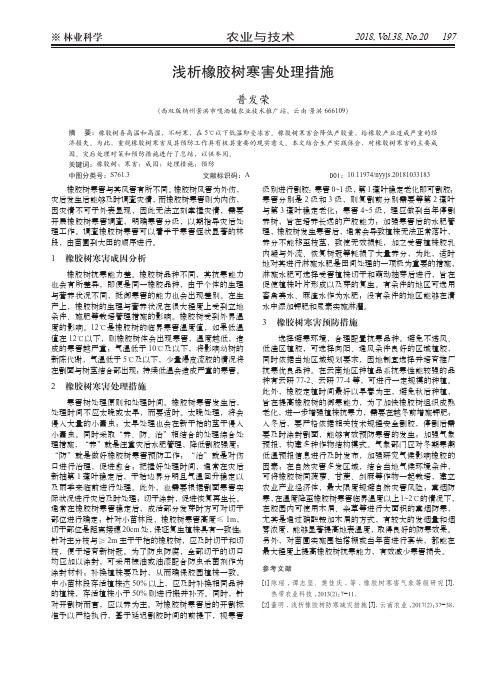 浅析橡胶树寒害处理措施