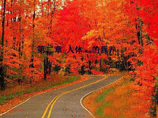 中考生物 第四单元 第二章 人体的营养复习课件