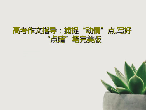 高考作文指导：捕捉“动情”点,写好“点睛”笔完美版23页PPT