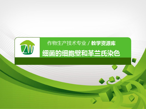 细菌的特殊形态