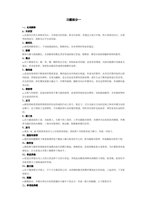 运动解剖学习题doc