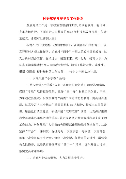 村支部年发展党员工作计划