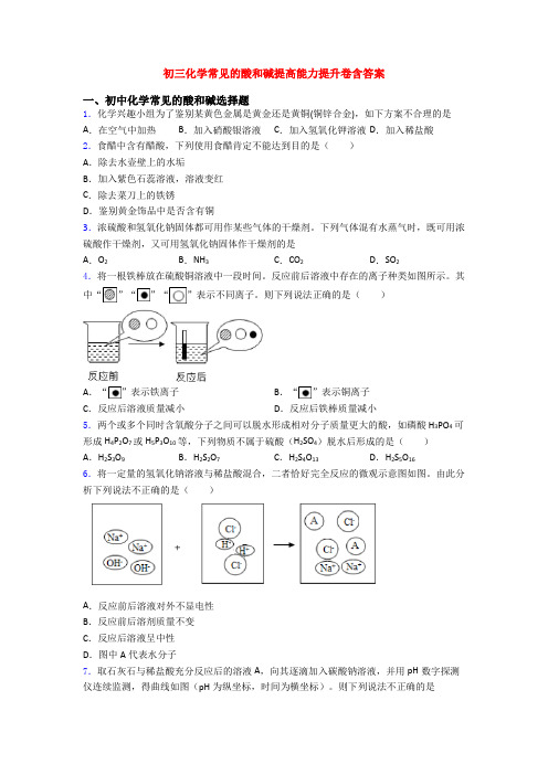 初三化学常见的酸和碱提高能力提升卷含答案