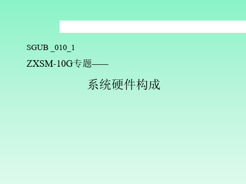 2 ZXSM-10G系统硬件(传统)New