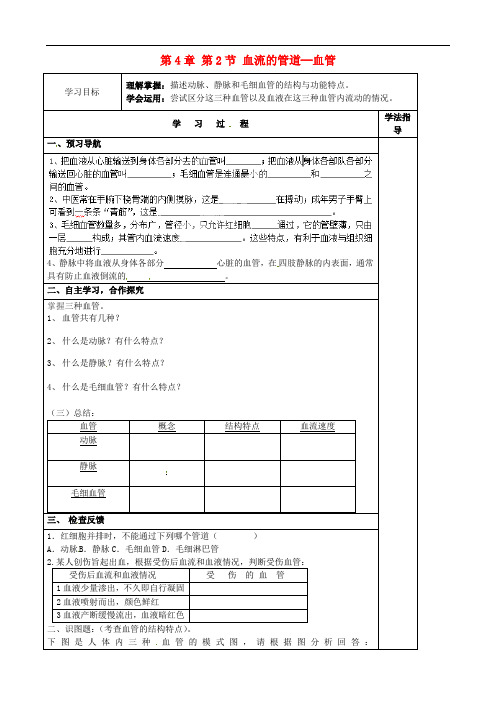 《血流的管道──血管》word教案 (公开课获奖)2022年人教版 (2)