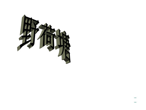 四年级下册语文课件-4.3《野荷塘》长春版(共17张PPT)