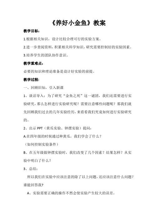 养好小金鱼