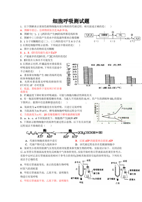 细胞呼吸测试题
