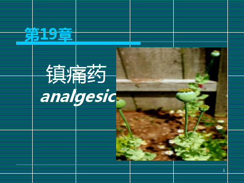 阿片受体激动药吗啡的药理作用PPT课件