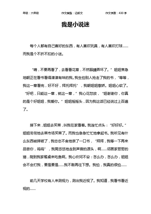 我是小说迷作文【小学六年级400字】