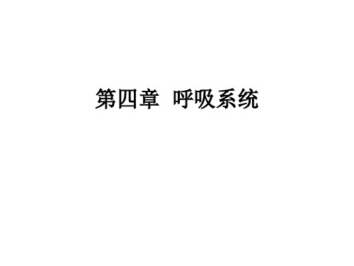 医学英语 呼吸系统 第四章