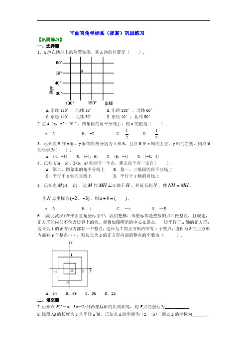 初一数学全章复习 平面直角坐标系(提高)巩固练习