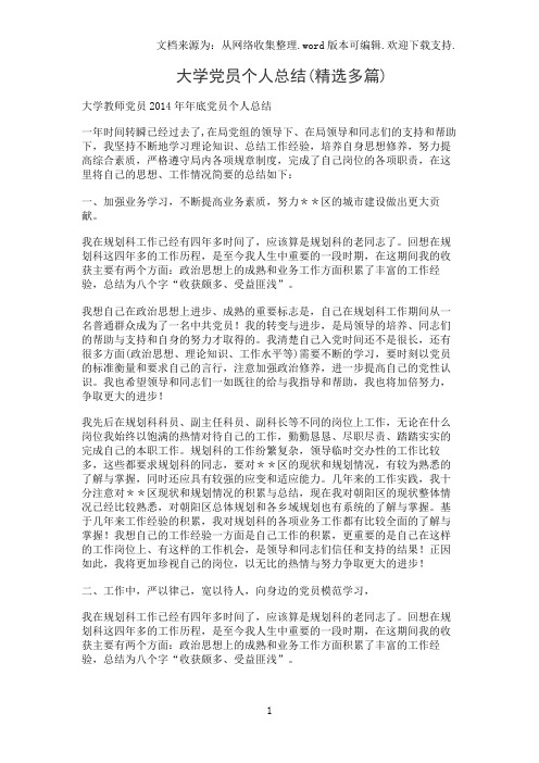 大学党员个人总结(精选多篇)
