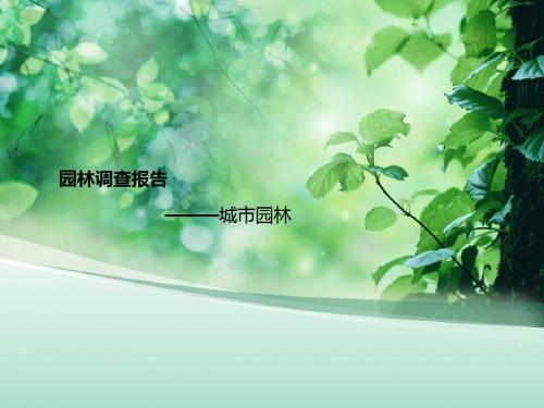 园林调查报告