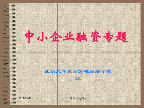 中小企业融资与资本运营第一章导论((讲稿).ppt